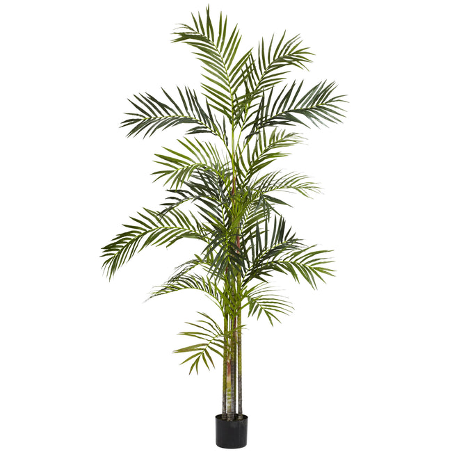 6' Areca Palm Silk Tree