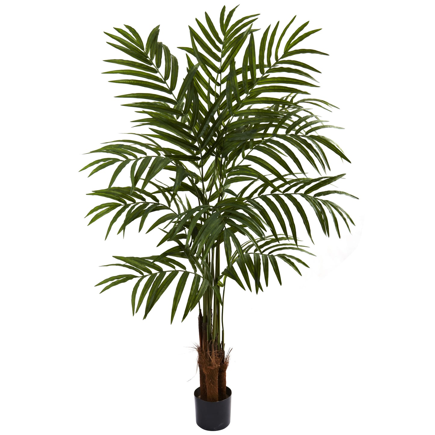 5’' Big Palm Tree