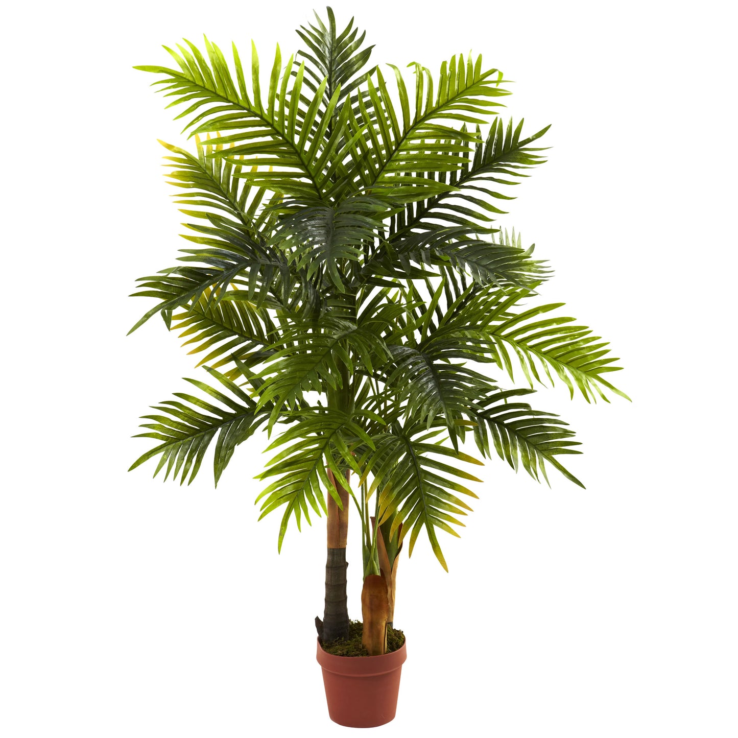 4’ Areca Palm Tree (Real Touch)