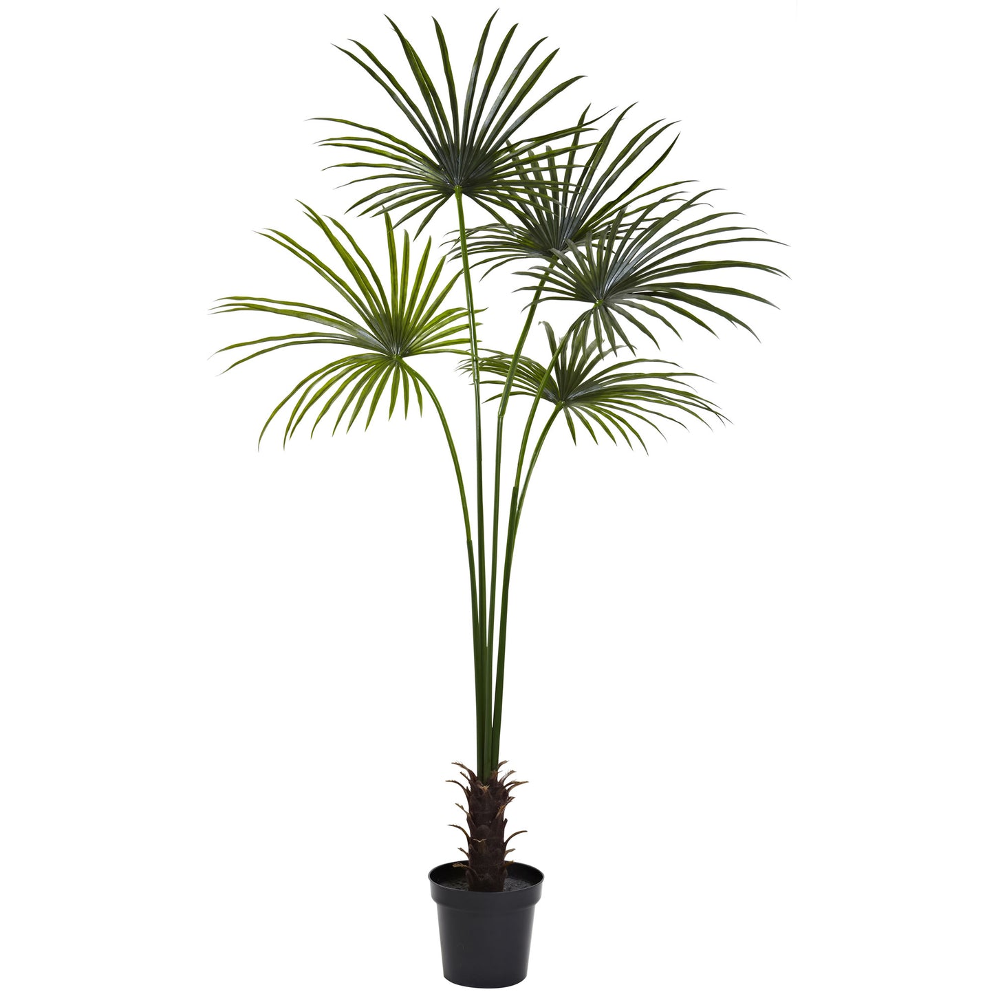 7’ Fan Palm Tree UV Resistant (Indoor/Outdoor)