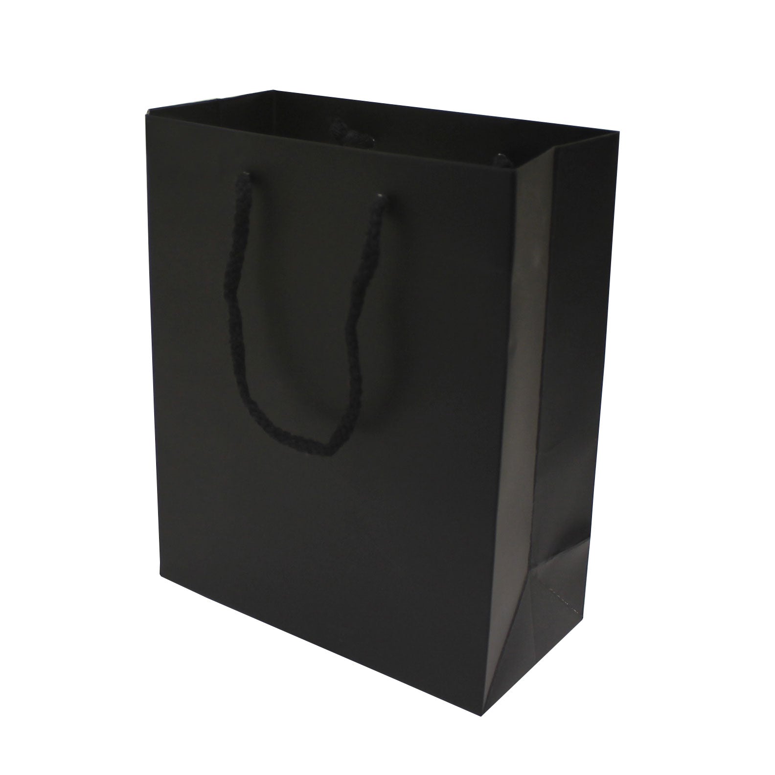 Matte Black holiday bag
