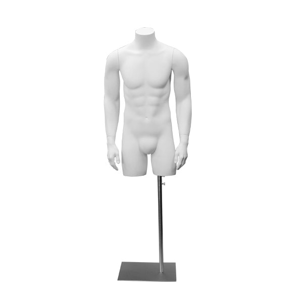 Male 3/4 mannequin with base